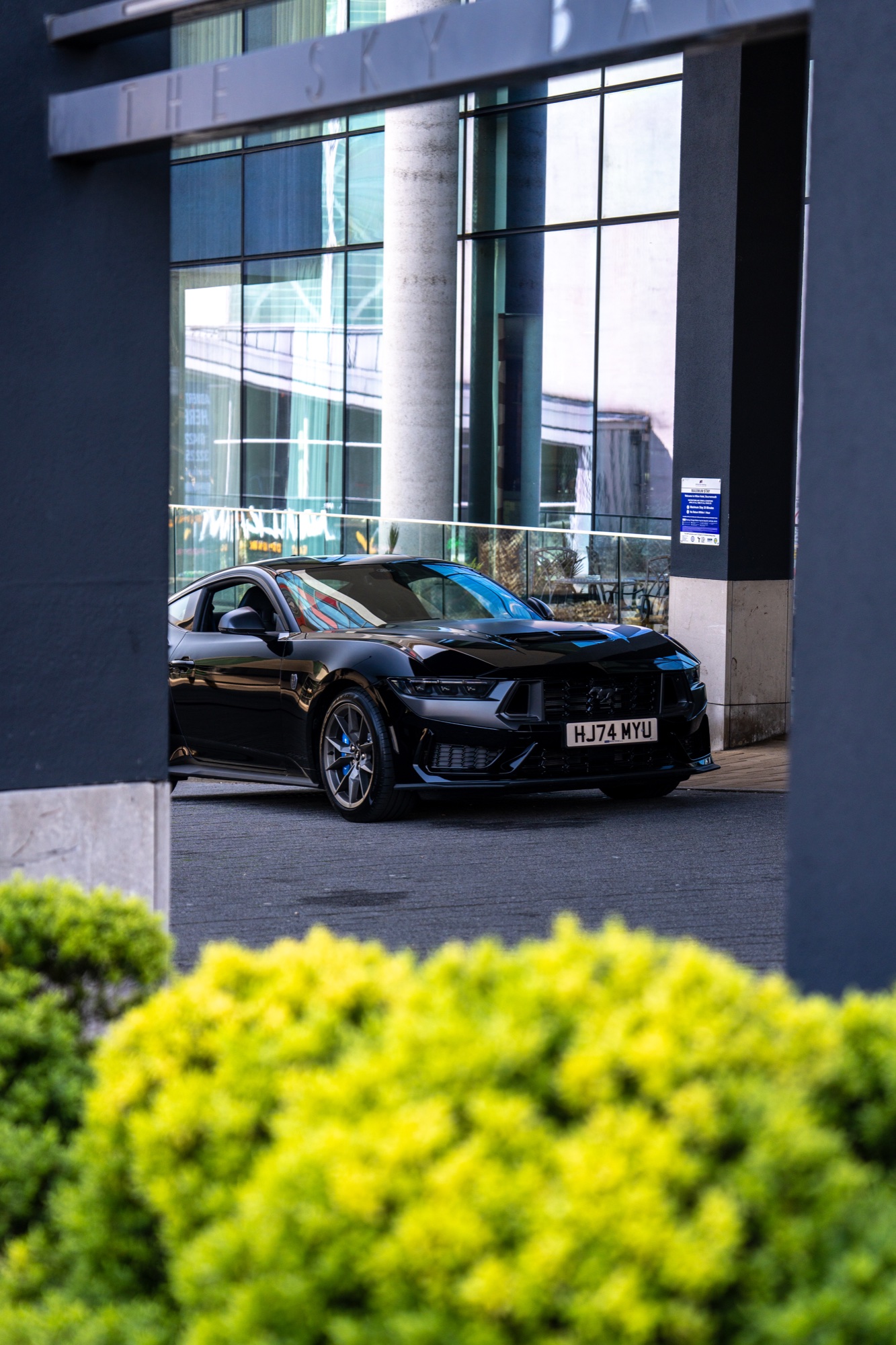 Mustang Dark Horse framed by contemporary architecture